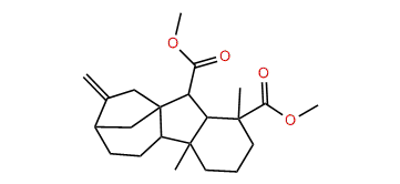 Gibberelline GA12 methyl ester